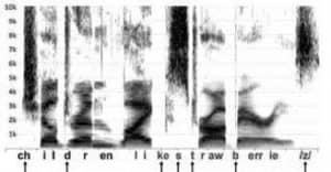 Figure 1. At any one point in time speech is either low-frequency sonorant (vowels and nasals) OR high-frequency obstruent (stops, fricatives, and affricates) but NEVER both at the same time. In contrast, music is ALWAYS low-frequency fundamental AND high-frequency harmonics.