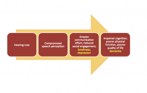 Figure 2. Example of a revised model from Figure 1 in which loneliness and depression, as a result of hearing loss and social limitations, contribute to cognitive decline.