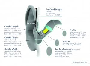 Figure 2. Dimensional variability of the external auditory canal. Courtesy of Wayne Staab, PhD,2 and adapted with permission.
