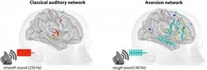 Smooth and rough sounds activate different brain networks. While smooth sounds induce responses mainly in the “classical” auditory system, rough sounds activate a wider brain network involved in processing aversion and salience.