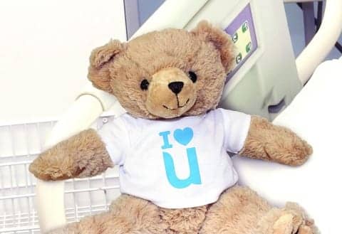 hospital bears