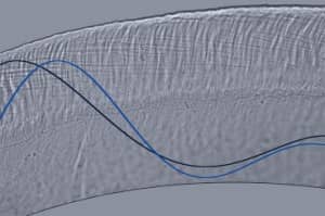 This optical microscope image depicts wave motion in a cross-section of the tectorial membrane, part of the inner ear. This membrane is a microscale gel, smaller in width than a single human hair, and it plays a key role in stimulating sensory receptors of the inner ear. Waves traveling on this membrane control our ability to separate sounds of varying pitch and intensity. Image courtesy: MIT's Micromechanics Group