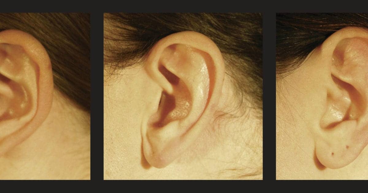 Why Auditory Pitch and Spatial Elevation Get High Together: Did Shape ...