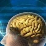 To Counteract Tinnitus, the Brain May Change How It Operates