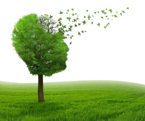 Primary Progressive Aphasia Memory Loss Measured