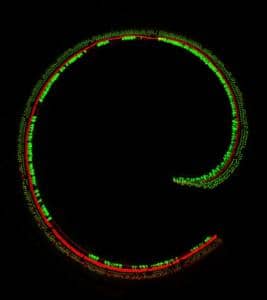 gene therapy for sensory hair cells
