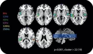 Inaudible sounds can activate the auditory cortex.