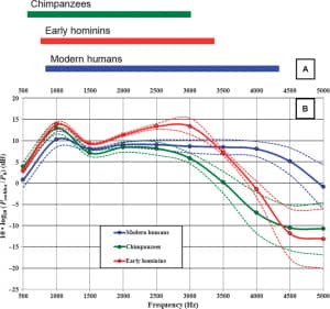 Model results showing auditory system of early humans, chimpanzees, modern humans.