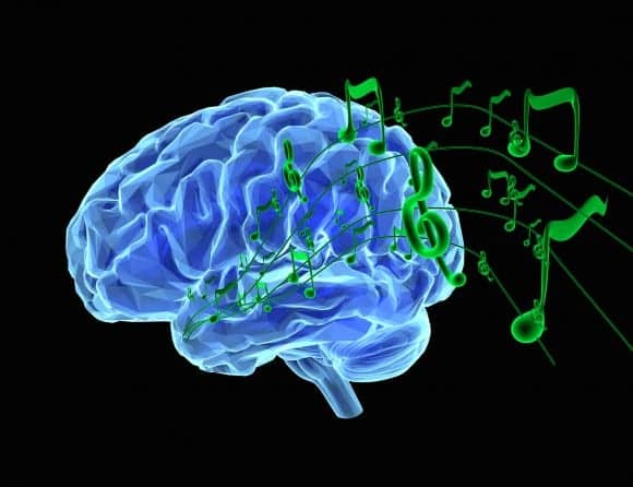 'NPR' Profiles Research of Brain Mechanisms Involved in Processing Speech in Noisy Environments