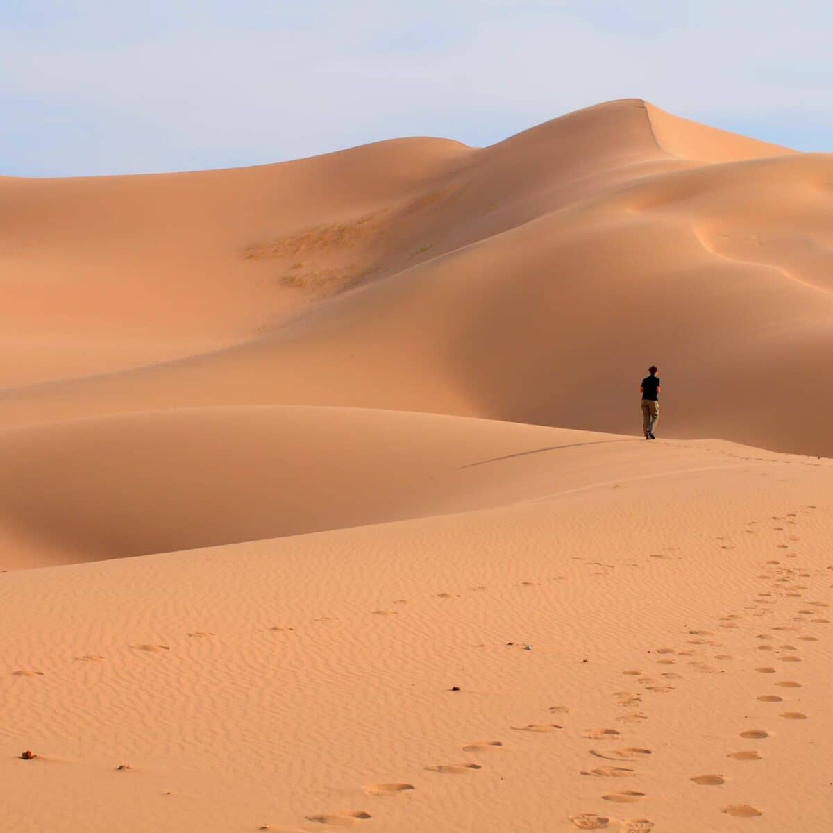 Back To Basics Sand Dunes Hum In The Key Of E