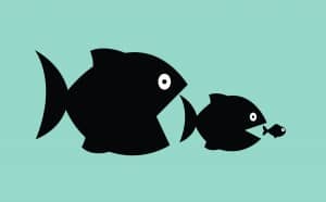 Figure 3. Industry consolidation and the “Law of the Fishes”: The big ones eat the little ones, so the little ones must be fast and numerous. Image: ©Vertes Edmond Mihai | Dreamstime.com