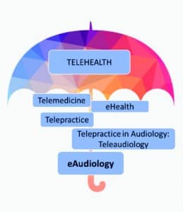 Figure 1. The evolution of terminologies used to describe remote delivery of healthcare and hearing healthcare services.