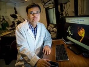 Tulane researcher Hai Huang is the recent recipient of a $1.8 million grant to study hearing loss.