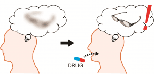Researchers at the University of Tokyo led by Professor Yuji Ikegaya studied the effect of histamine on long-term memory. After taking a drug to boost levels of histamine in the brain, adults in their mid-20s had improved long-term memory test scores and mice temporarily had memories that lasted 25 days longer than normal.
