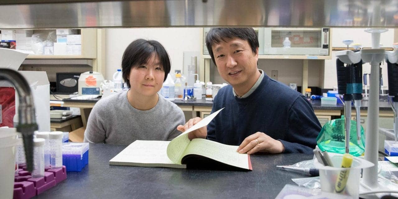Uva Researchers Find Potential Contributor To Age Related Hearing