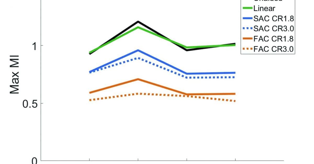Essay on temporal 04 image